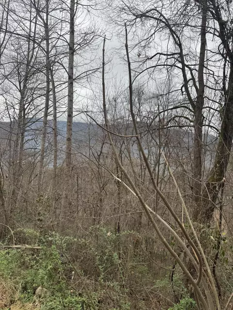2190 Stoneview Way, Cosby, TN 37722