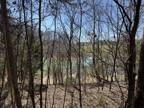 2327 Boat Dock Rd, Talbott, TN 37877