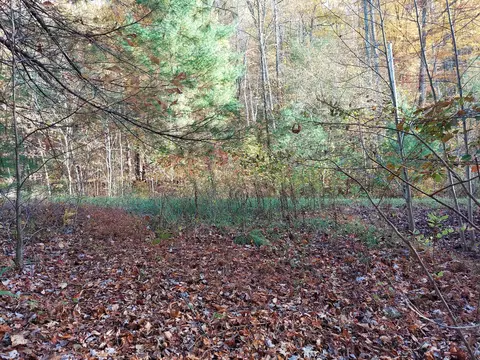 lot19 Sugar Maple Way, Del Rio, TN 37727