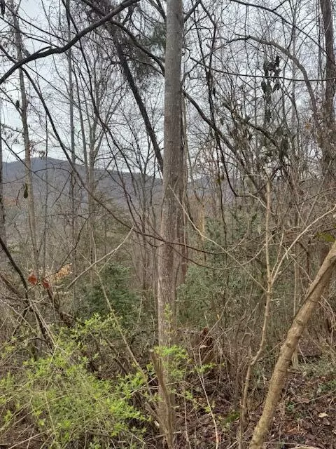 2264 Stoneview Way, Cosby, TN 37722