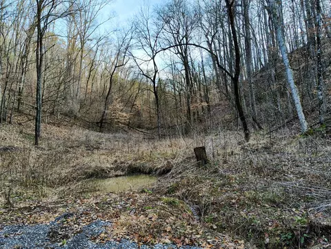 907 Sharp Rd, Sevierville, TN 37876 photo 4