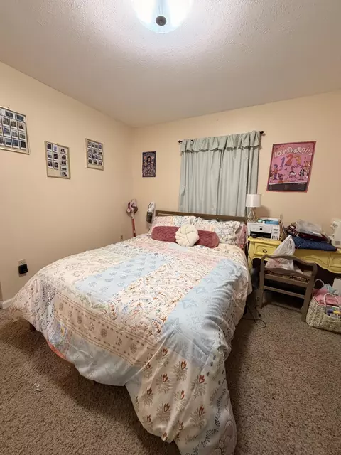 Bedroom - 230 Greenbriar Rd, Talbott, TN 37877 photo 3 of 5