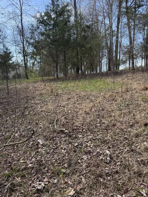 lot27 R Walnut Bend Dr, Whitesburg, TN 37891