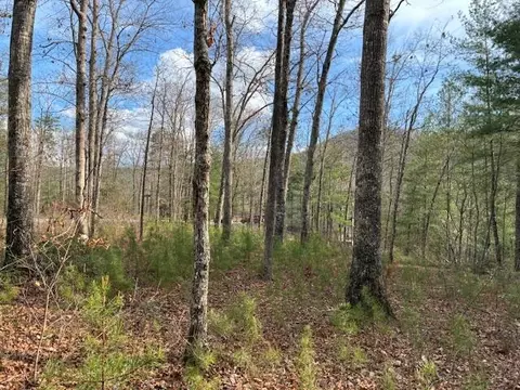 00 Mountain Ash Way, Sevierville, TN 37876
