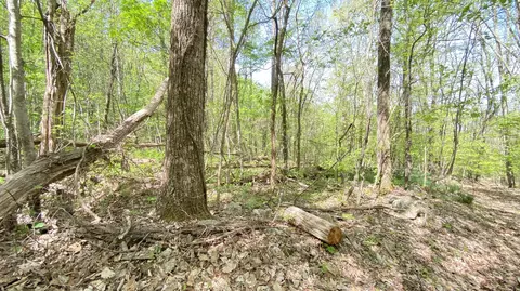 00 Hensley Hollow Rd, Dandridge, TN 37725