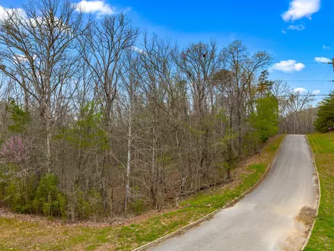 lot107 Turtle Dove Trl, Dandridge, TN 37725