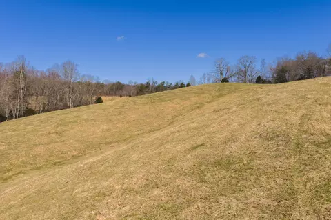 50 Acres Sutton Hollow Rd, Sneedville, TN 37869