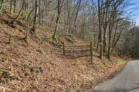 0 Guthries Greene Rd, Bulls Gap, TN 37711