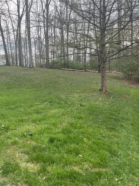 Exterior - 693 Whippoorwill Dr, Talbott, TN 37877 photo 5 of 9