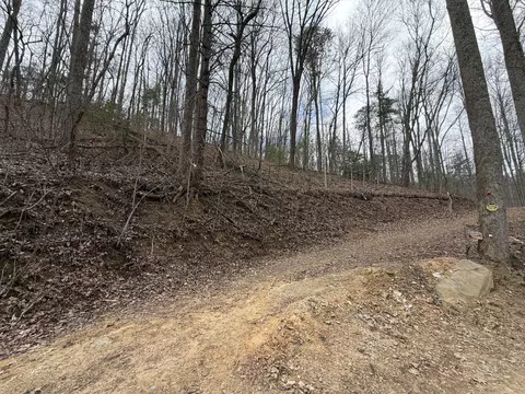 4 1 Reece Hollow Rd, Del Rio, TN 37727