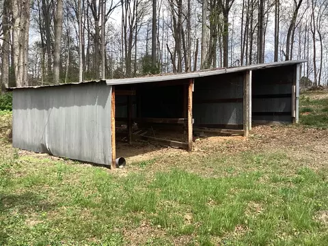 Exterior - 1620 Talbott Kansas Rd, Talbott, TN 37877 photo 7 of 9