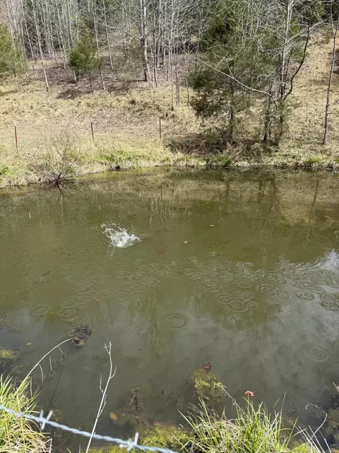 00 Kyles Ford Hwy, Kyles Ford, TN 37765