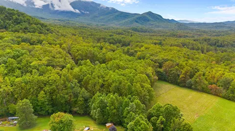 00 Mtn Laurel Way, Cosby, TN 37722