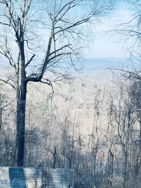 1549 Zermatt Dr, Gatlinburg, TN 37738
