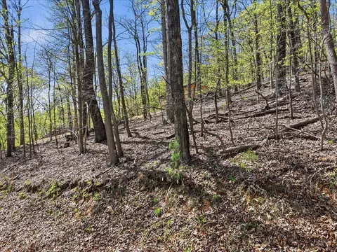 1202 Keetoowah Dr, Mooresburg, TN 37811