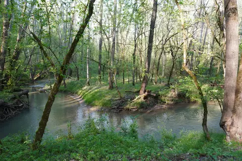 lot S 1-2 Golf Course Rd, Newport, TN 37821