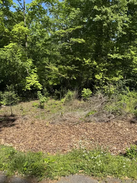 lot44 Cliffwood Dr, Newport, TN 37821