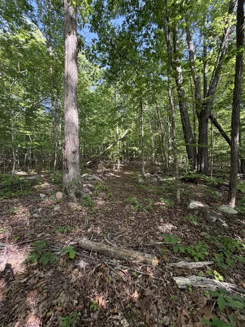 lot39 Cardinal Dr, Newport, TN 37821