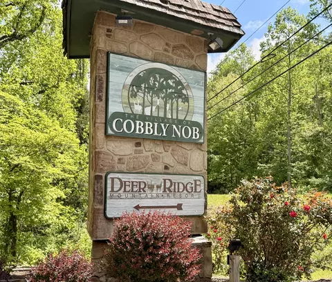 0 Black Gum Gap Rd, Gatlinburg, TN 37738