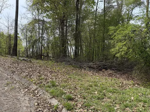 lot6 John Spears Way, Sevierville, TN 37876