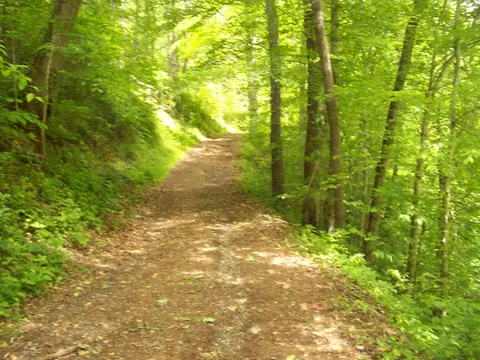0 Davis Hollowdark Hollow Rd, Sneedville, TN 37869