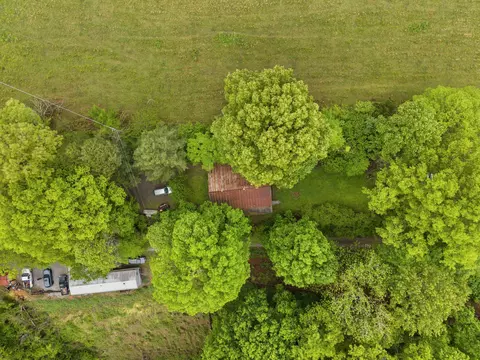 View/Area - 185 Trinity, Harrogate, TN 37752 photo 2 of 3