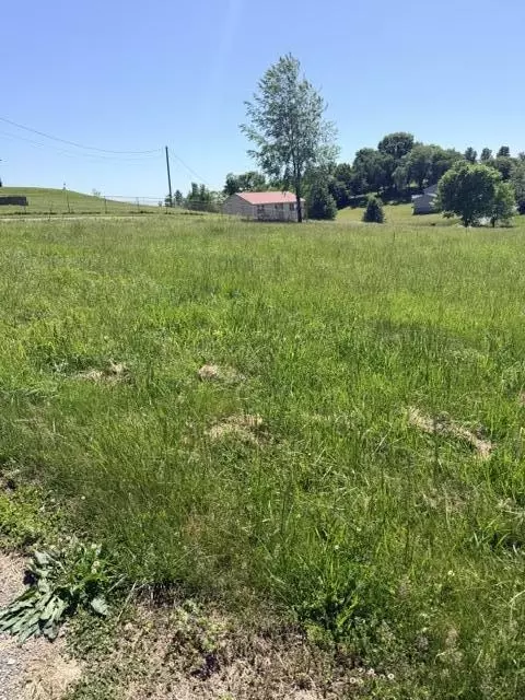 2058 Walters Dr, Bulls Gap, TN 37711