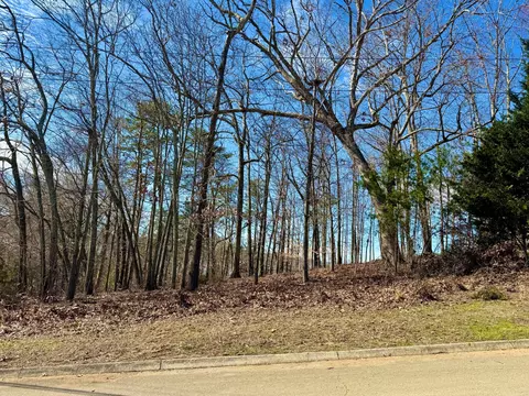 lot37 Lake Vista Dr, Baneberry, TN 37890