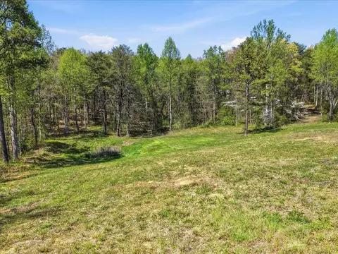 2535 Dark Hollow Rd, Cosby, TN 37722
