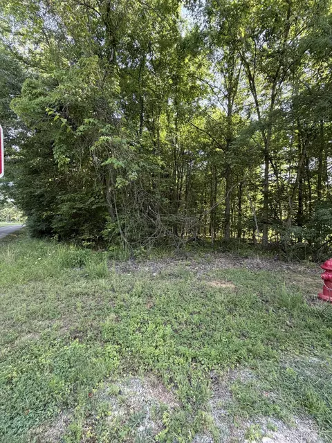 lot1023 Cove, Baneberry, TN 37890