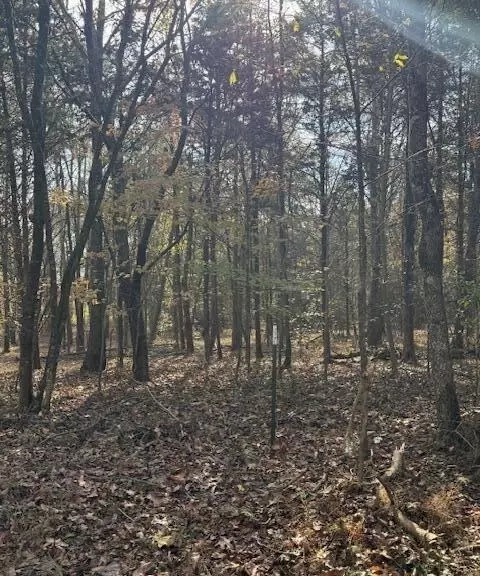 lot1031 Meadow Ct, Baneberry, TN 37890