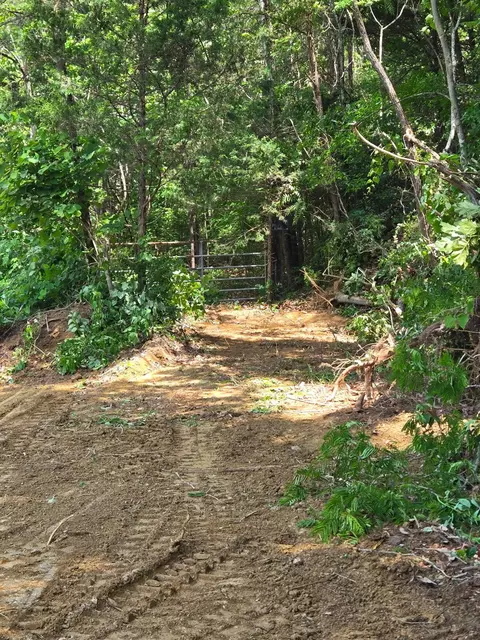 00 S Rushy Springs Rd, Talbott, TN 37877 photo 19