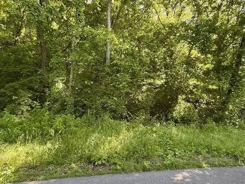 00 S Rushy Springs Rd, Talbott, TN 37877 photo 3