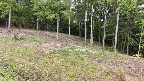 lot44 Bayside Blvd, Bean Station, TN 37708
