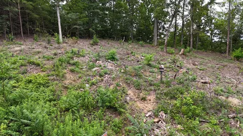 lot42 Bayside Blvd, Bean Station, TN 37708