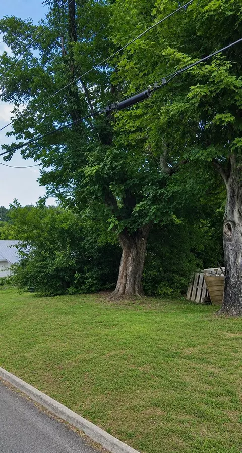 233 Blair St, Morristown, TN 37814