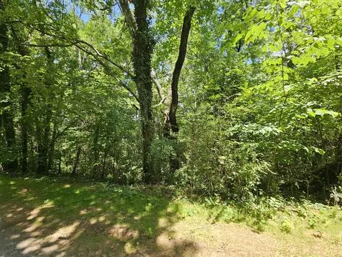 000 Michael Way, Newport, TN 37821