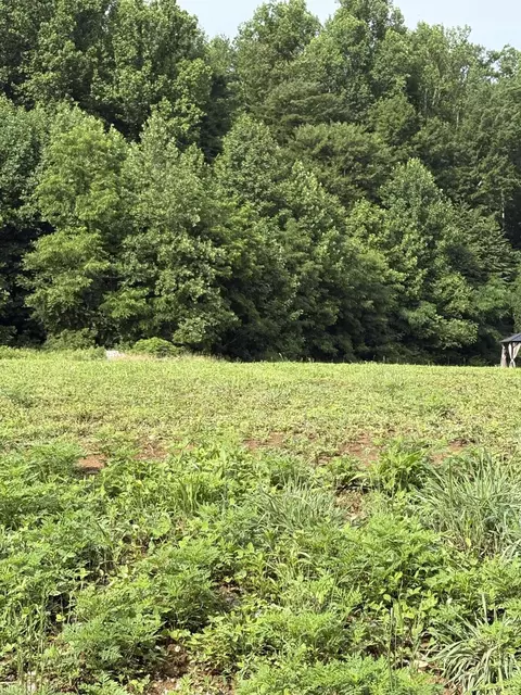 187 Tennessee 32, Cosby, TN 37722
