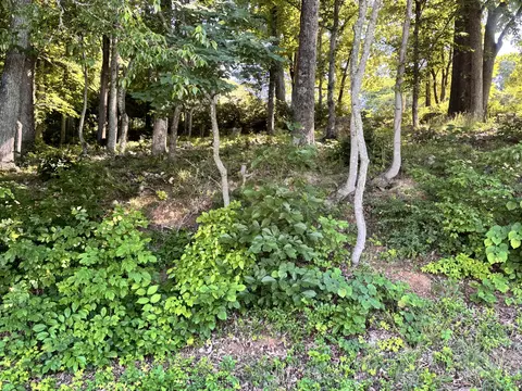 0 Leconte St, Morristown, TN 37814
