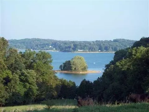 254 Alberts Cove Cv, Rutledge, TN 37861