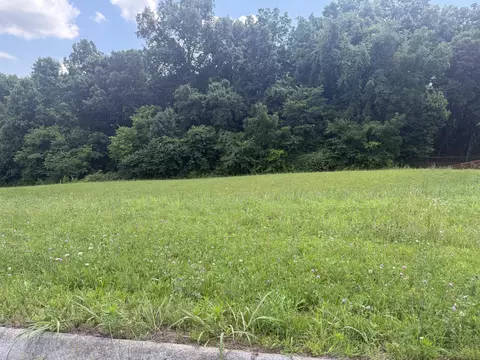 0 Castlebury Dr, Jefferson City, TN 37760