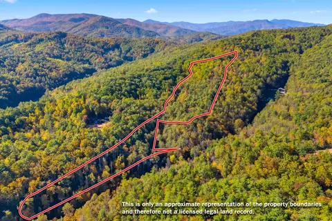 5 37 Acres Reece Hollow Rd, Del Rio, TN 37727