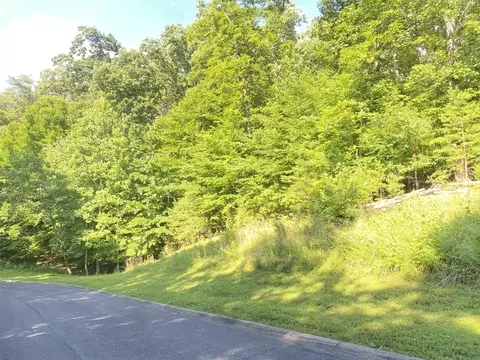 lot12 Cove Springs Dr, Dandridge, TN 37725
