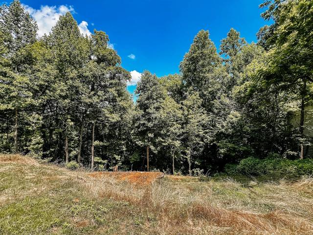 204 Zoder Dr, Gatlinburg, TN 37738
