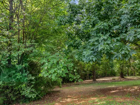2301 Boat Dock Rd, Talbott, TN 37877 photo 6