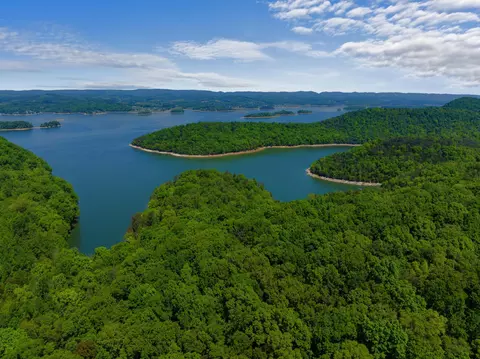 2301 Boat Dock Rd, Talbott, TN 37877 photo 17