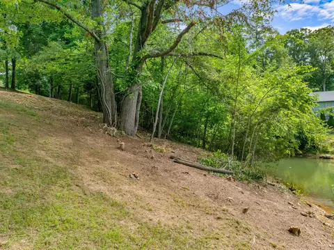 2301 Boat Dock Rd, Talbott, TN 37877 photo 9