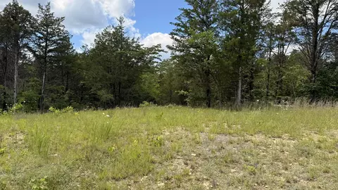 lot2 Walker Cemetary Rd, Bulls Gap, TN 37711