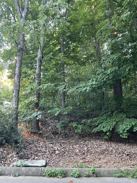 4024 Eagles Nest Dr, Morristown, TN 37813