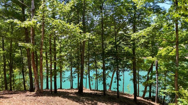 lot2 Lake Oaks Way, Sevierville, TN 37876